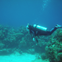 buceo 021